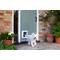 Show in main carousel: SureFlap Microchip Small Dog & Cat Door, White slide 4 of 11