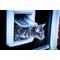 Show in main carousel: SureFlap Microchip Small Dog & Cat Door, White slide 7 of 11