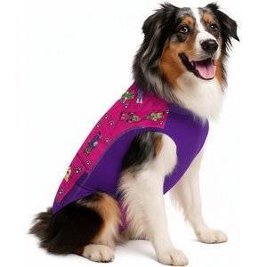 Surgi Snuggly The Wonder Dog Suit, Small Long