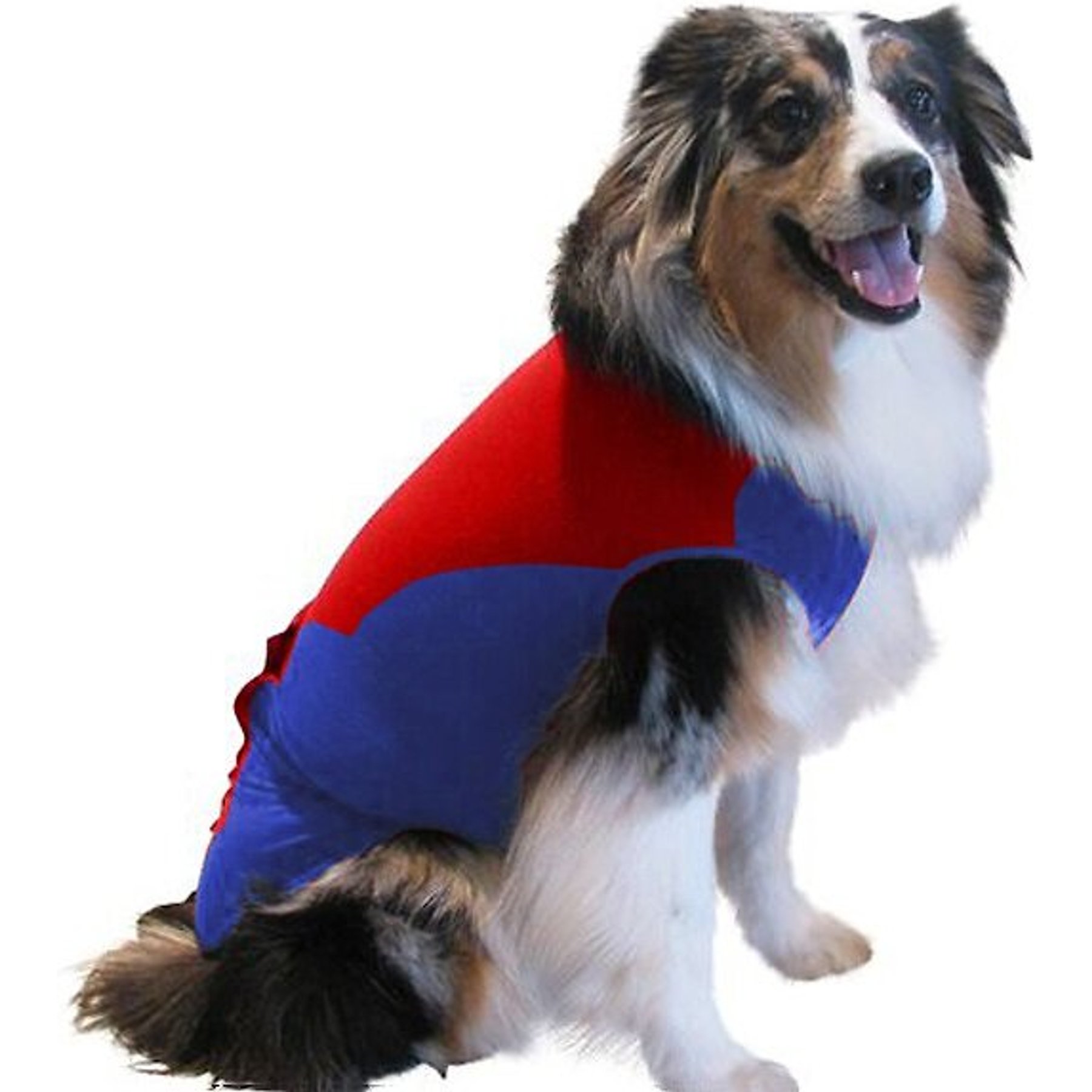 Surgi Snuggly Wonder Suit Post Surgical Healing Dog Suit, Medium Short