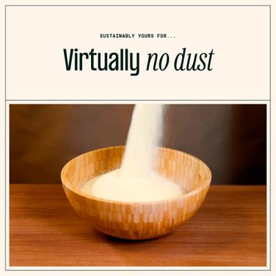 Show full view: Sustainably Yours Large Grains Cat Litter, 10-lb bag slide 6 of 9