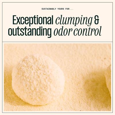 Show full view: Sustainably Yours Small Grains Cat Litter, 10-lb bag slide 5 of 9