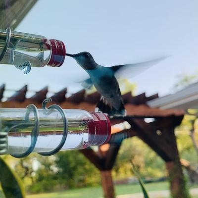 Show full view: Sweet Feeders Bird Extra Bottles, 4 count slide 4 of 6