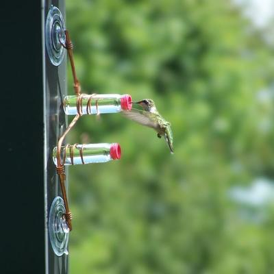 Show full view: Sweet Feeders Geo Bird Feeder, Copper, 2 Station slide 6 of 9