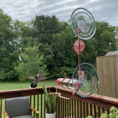 Show full view: Sweet Feeders Modern Window Bird Feeder, Copper, 2 Station slide 5 of 8