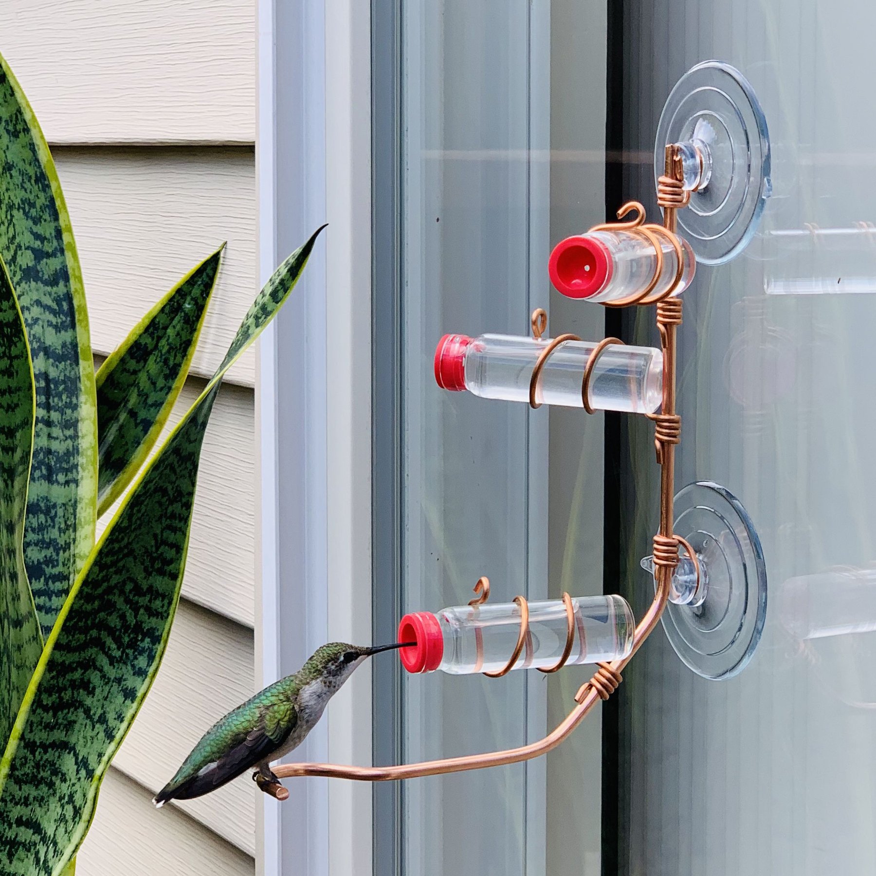 Sweet Feeders Modern Window Bird Feeder, Copper, 3 Station