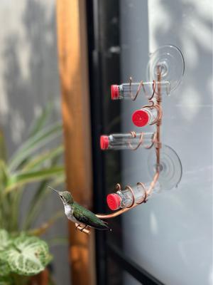 Show full view: Sweet Feeders Modern Window Bird Feeder, Copper, 4 Station slide 4 of 9