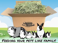 Sweet Meadow Farm 1st Cut Timothy Hay Small Pet Food, 20-lb box
