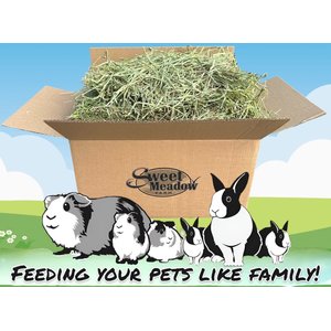 Sweet Meadow Farm 1st Cut Timothy Hay Small Pet Food, 20-lb box