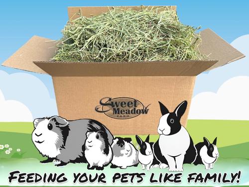 Show full view: Sweet Meadow Farm 1st Cut Timothy Hay Small Pet Food, 20-lb box slide 1 of 4