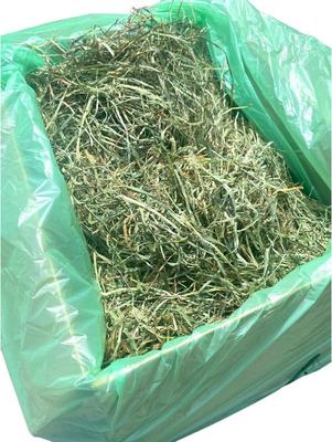 Show full view: Sweet Meadow Farm 1st Cut Timothy Hay Small Pet Food, 9-lb box slide 7 of 10