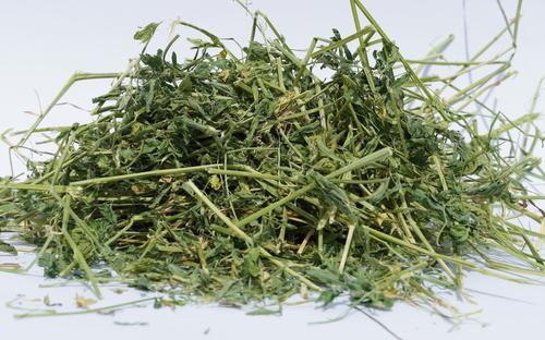 Show full view: Sweet Meadow Farm Alfalfa Hay Small Pet Food, 9-lb box slide 4 of 6