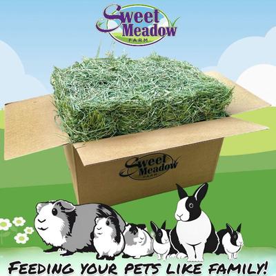 Show full view: Sweet Meadow Farm All Natural Western Timothy 2nd Cut Hay Small Pet Food, 20-lb box slide 1 of 3