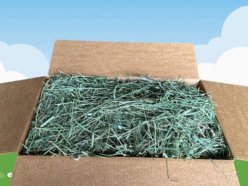 Show full view: Sweet Meadow Farm All Natural Western Timothy 2nd Cut Hay Small Pet Food, 9-lb box slide 2 of 9