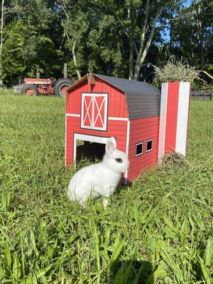 Show full view: Sweet Meadow Farm Buddy Barn Small Pet Hideout slide 3 of 10