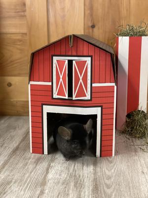 Show full view: Sweet Meadow Farm Buddy Barn Small Pet Hideout slide 7 of 10