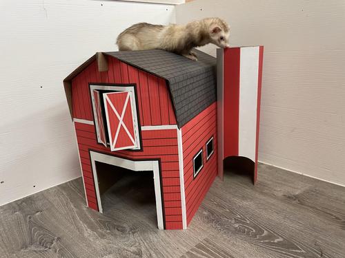 Show full view: Sweet Meadow Farm Buddy Barn Small Pet Hideout slide 8 of 10