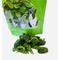 Show in main carousel: Sweet Meadow Farm Freeze-Dried Spinach Small Pet Treat, 1.5-oz bag slide 3 of 7