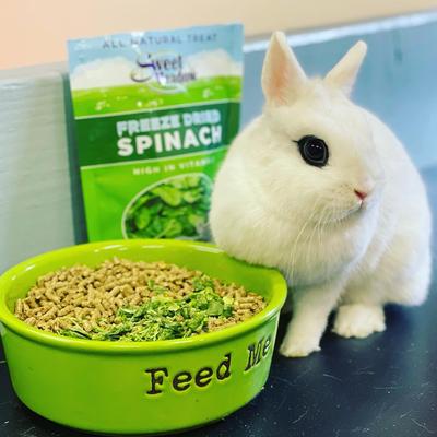 Show full view: Sweet Meadow Farm Freeze-Dried Spinach Small Pet Treat, 1.5-oz bag slide 6 of 7