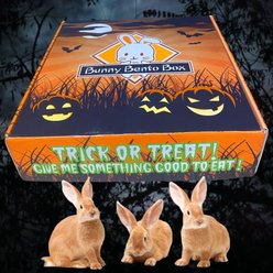 Sweet Meadow Farm Halloween Edition Bunny Bento Box Small Pet Treats, 10-oz box