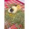 Show in main carousel: Sweet Meadow Farm Marigold Herb Small Pet Treats, 1.3-oz bag slide 6 of 8