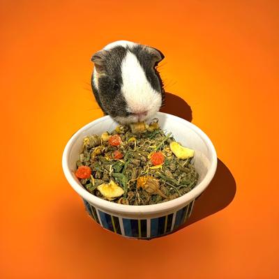 Show full view: Sweet Meadow Farm Pellets PLUS + Guinea Pig Food slide 4 of 5