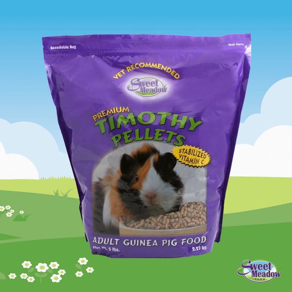 Kaytee Timothy Complete 2 in 1 Digestive Support Guinea Pig Food, 10-lb bag