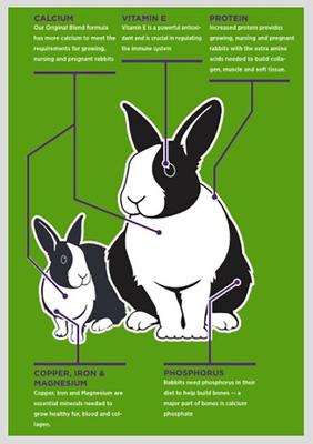 Show full view: Sweet Meadow Farm Rabbit Pellets Premium Timothy Blend Rabbit Food, 20-lb bag slide 3 of 6