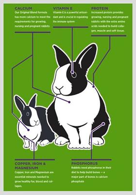 Show full view: Sweet Meadow Farm Rabbit Pellets Premium Timothy Blend Rabbit Food, 40-lb bag slide 3 of 6