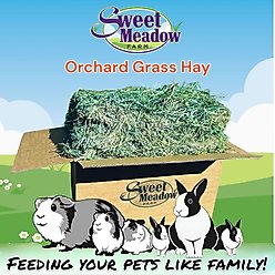 Sweet Meadow Farm Super Soft Orchard Grass Hay Small Pet Food, 20-lb box