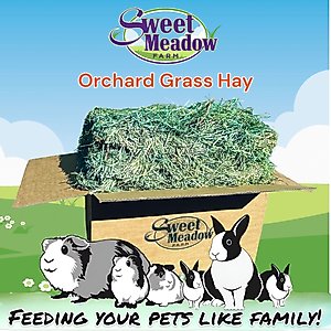 Sweet Meadow Farm Super Soft Orchard Grass Hay Small Pet Food, 20-lb box