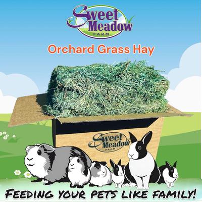 Show full view: Sweet Meadow Farm Super Soft Orchard Grass Hay Small Pet Food, 20-lb box slide 1 of 3