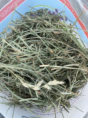 Show full view: Sweet Meadow Farm Super Soft Orchard Grass Hay Small Pet Food, 3-lb bag slide 2 of 9