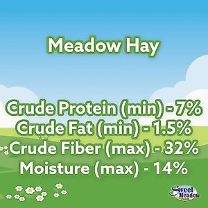 Sweet Meadow Farm Sweet Meadow Hay Small Pet Food, 20-oz bag
