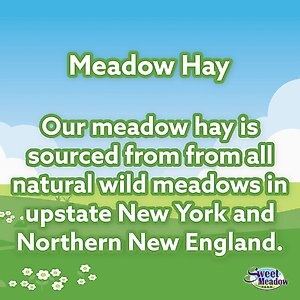 Sweet Meadow Farm Sweet Meadow Hay Small Pet Food, 20-oz bag