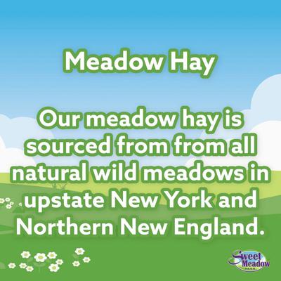 Show full view: Sweet Meadow Farm Sweet Meadow Hay Small Pet Food, 20-oz bag slide 3 of 7