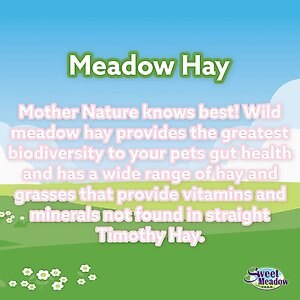 Sweet Meadow Farm Sweet Meadow Hay Small Pet Food, 20-oz bag