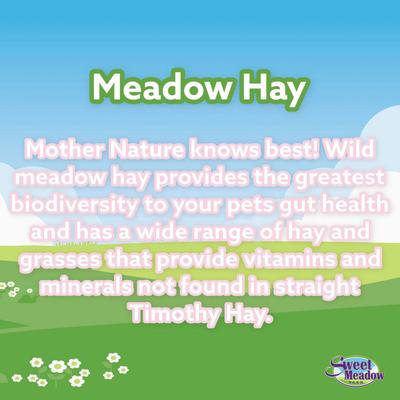 Show full view: Sweet Meadow Farm Sweet Meadow Hay Small Pet Food, 20-oz bag slide 4 of 7