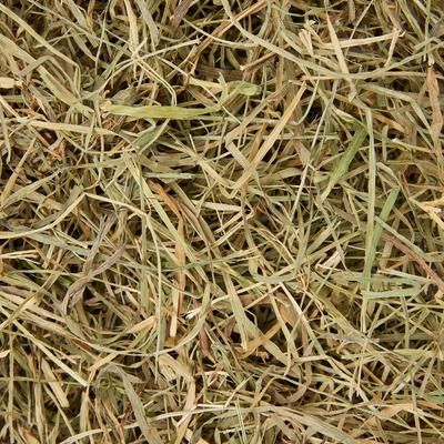 Show full view: Sweet Meadow Farm Timothy Hay Small Pet Food, 3-lb bag slide 4 of 6