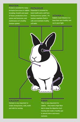 Show full view: Sweet Meadow Farm Timothy Pellets Adult Rabbit Food, 20-lb bag slide 3 of 5