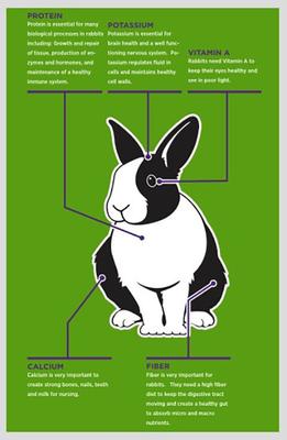 Show full view: Sweet Meadow Farm Timothy Pellets Adult Rabbit Food, 40-lb bag slide 3 of 8