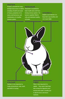 Show full view: Sweet Meadow Farm Timothy Pellets Adult Rabbit Food, 8-lb bag slide 3 of 5