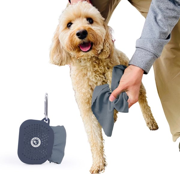 Show full view: Sweet Paws Perfect Paws Portable Dog Towel, Clean Slate, Large, 1 count slide 1 of 12