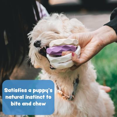 Show full view: Sweet Paws Wearable Puppy Teether Stack Party of 4, Put it in Neutral slide 8 of 10