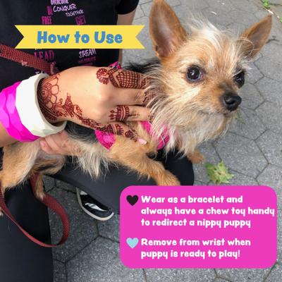 Show full view: Sweet Paws Wearable Puppy Teether Stack Party of 4, Put it in Neutral slide 5 of 10