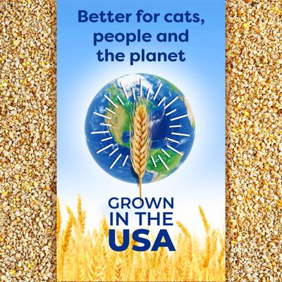 Show full view: sWheat Scoop Easy Maintenance Natural Clumping Wheat & Corn Cat Litter, 14-lb bag slide 8 of 11