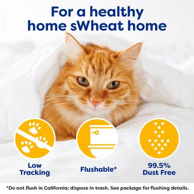 Show full view: sWheat Scoop Easy Maintenance Natural Clumping Wheat & Corn Cat Litter, 28-lb bag slide 7 of 11