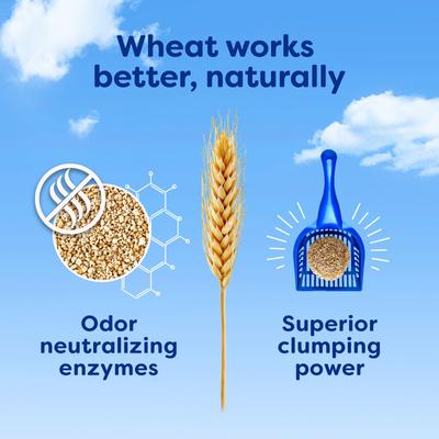 Show full view: sWheat Scoop Easy Maintenance Natural Clumping Wheat & Corn Cat Litter, 28-lb bag slide 5 of 11