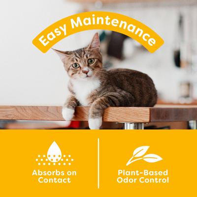 Show full view: sWheat Scoop Easy Maintenance Natural Clumping Wheat & Corn Cat Litter, 28-lb bag slide 6 of 11