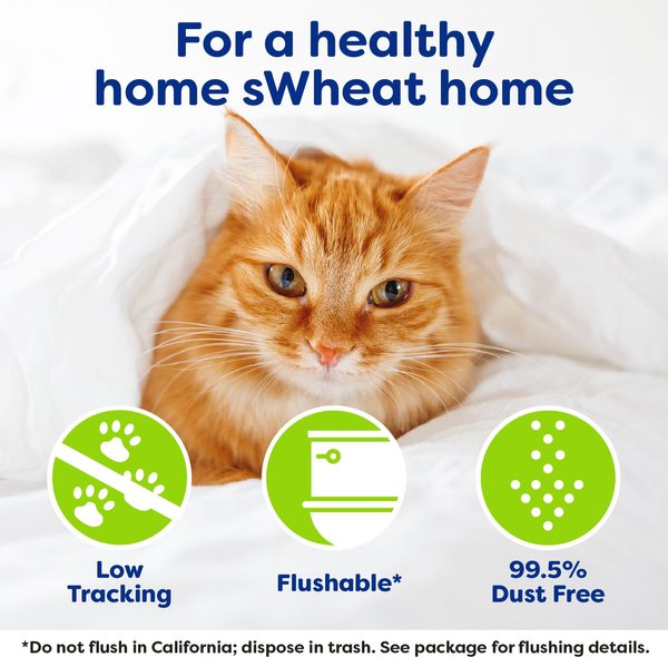 sWheat Scoop Multi-Cat Natural Clumping Wheat Cat Litter